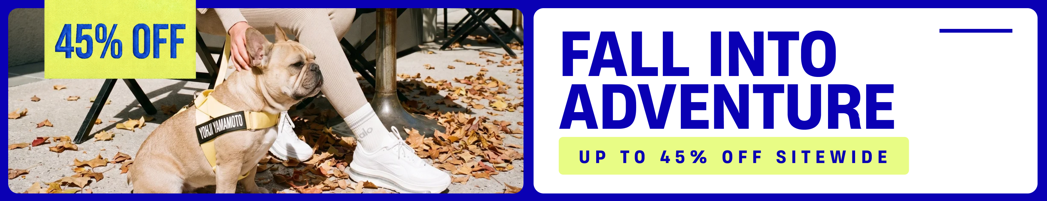 Promotional banner
