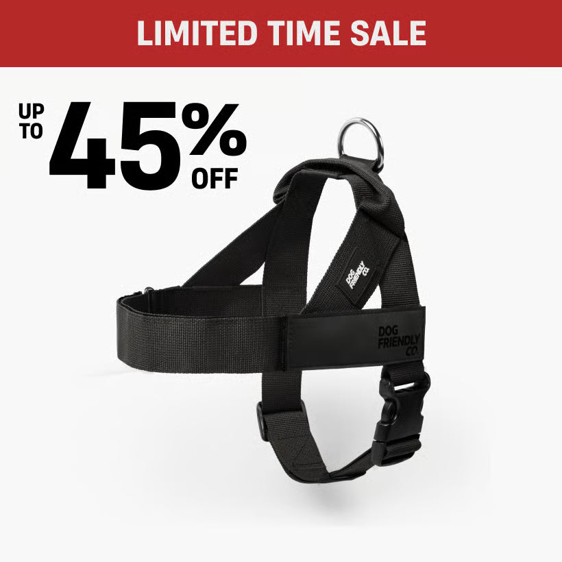 [REPLACE: DogFriendlyCo black harness, front-facing product shot, with the FREE D-Ring attachment visible]