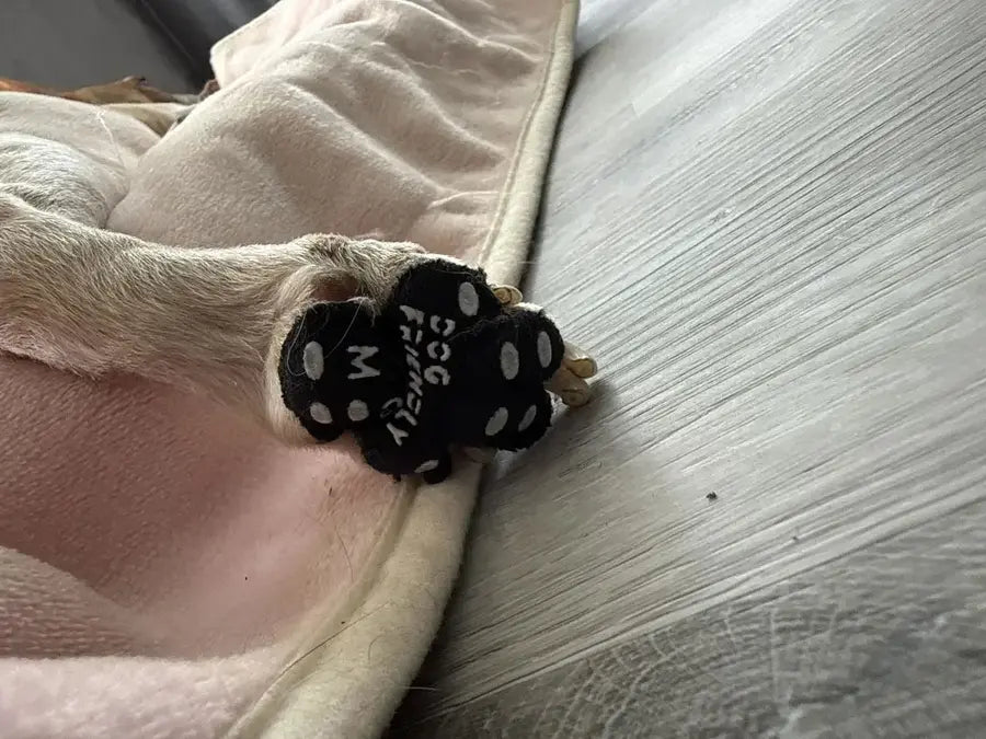 Customer photo