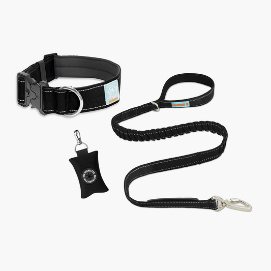 Shop High Quality Dog Collars Online Dog Friendly Co