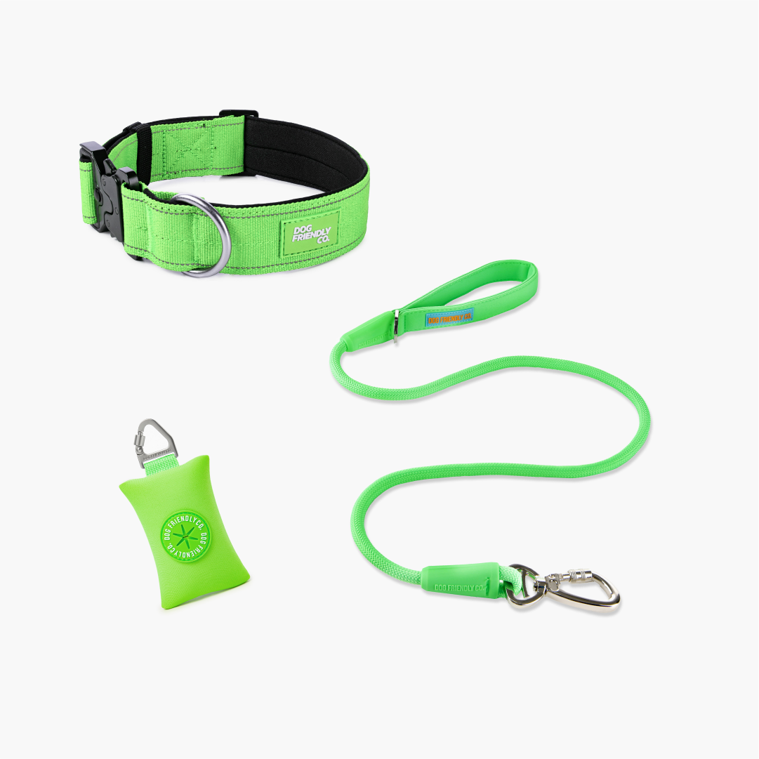 Collar Walk Set - Neon Green