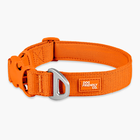 Essentials Collar - Orange