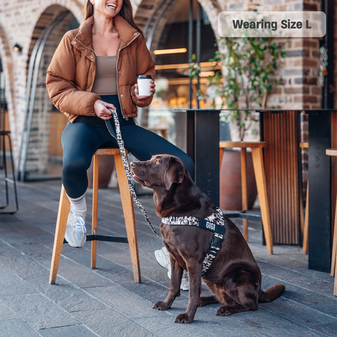 Signature Kit - Grey Camo