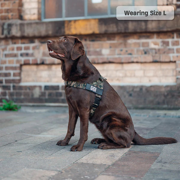 Dog Harness + FREE D-ring