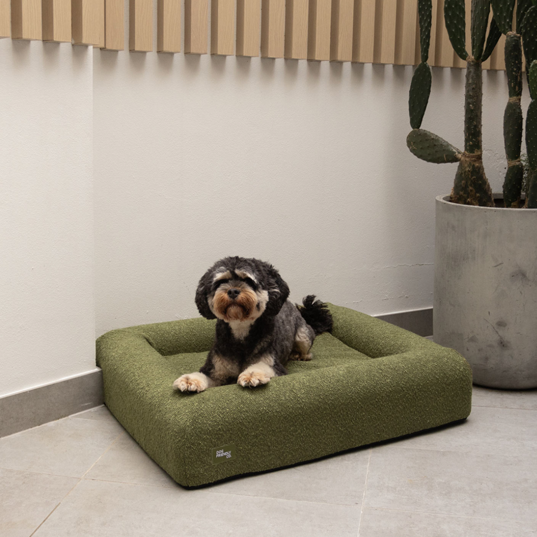 Premium Orthopedic Memory Foam Dog Bed - Green Bouclé (Small) – Dog Friendly Co.