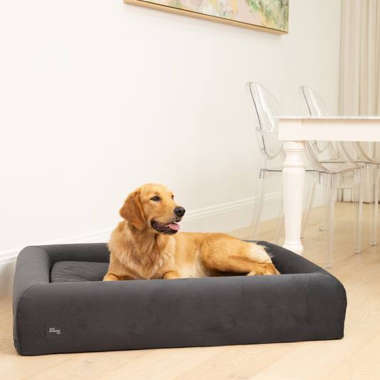 Premium Orthopedic Memory Foam Dog Bed - Charcoal (Medium)