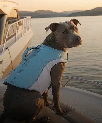 Shop Life Jackets