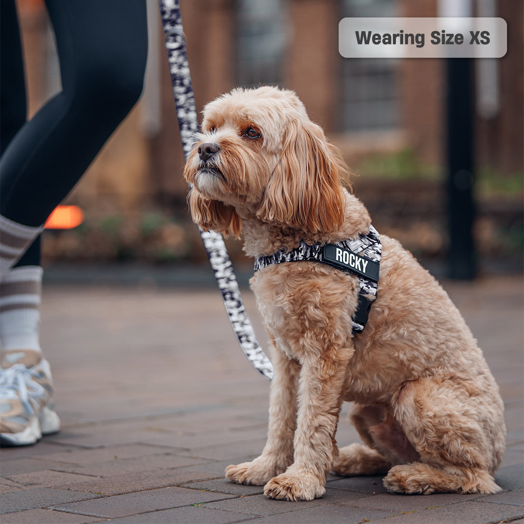 Signature Kit - Grey Camo