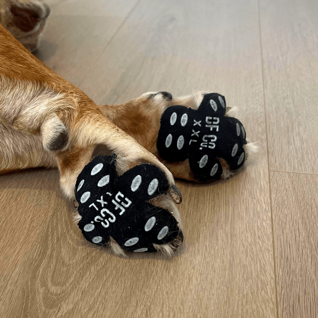 Dr Buzby Toe Grips Dog Booties And Paw Protectors DF Co