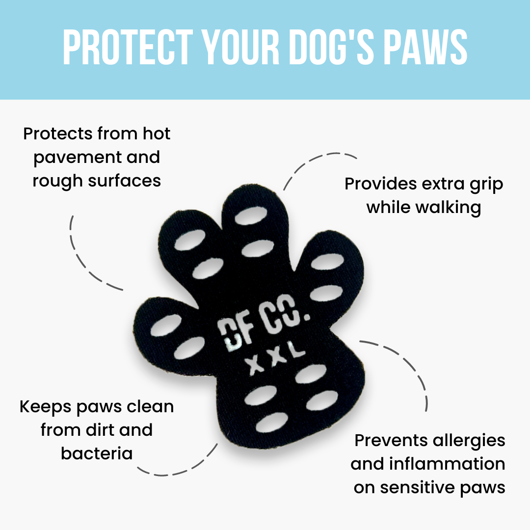 Dog Paw Protector
